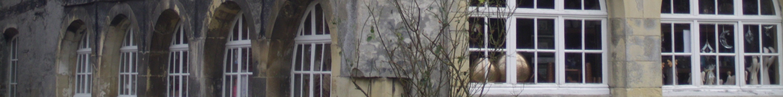 009.jpg